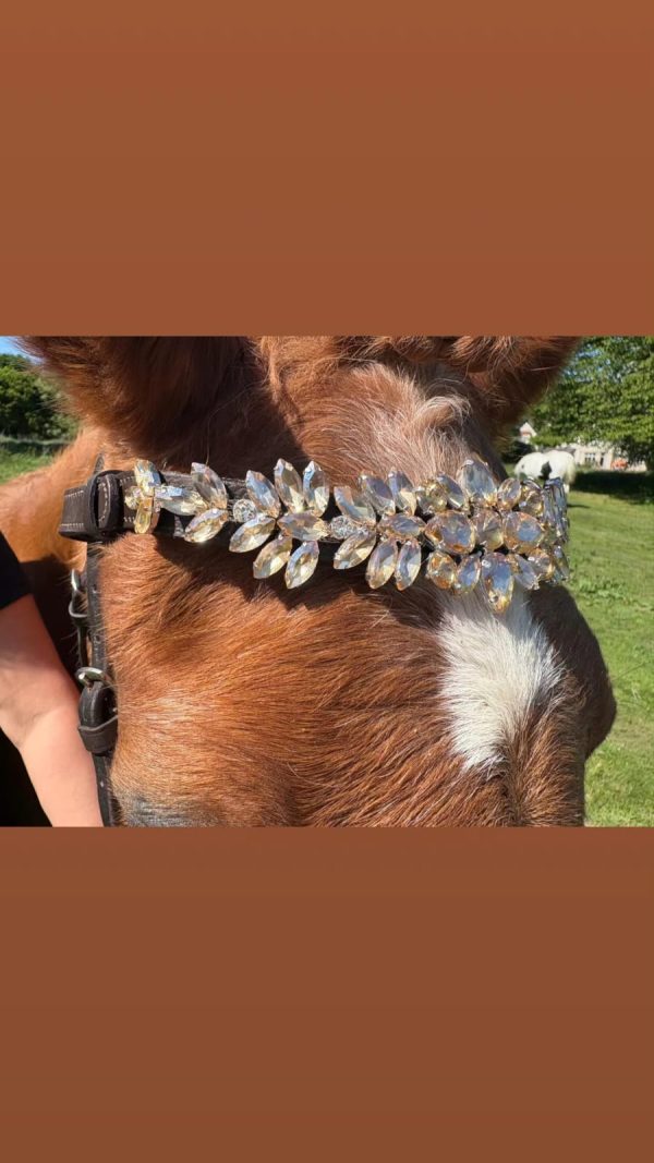 SJS Daisy Chain Brow Band - Image 5