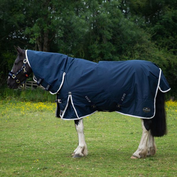 Gallop Trojan 100g Turnout Combo