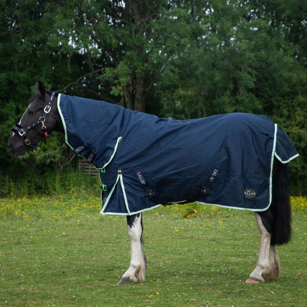 Gallop Trojan Lightweight Turnout Combo